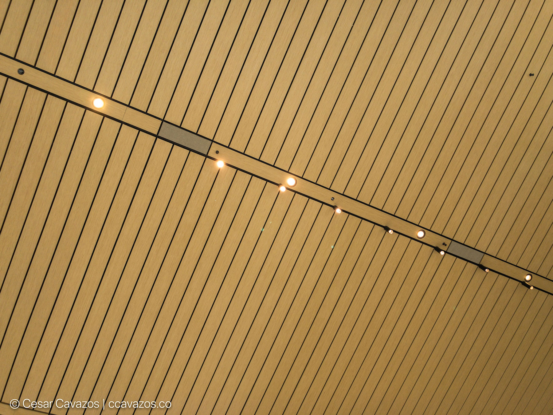 The ceiling of the Apple Company Store in Cupertino